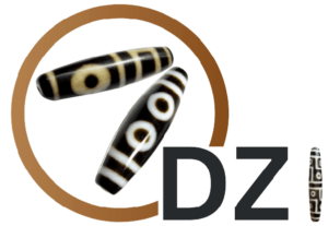 dzi academy logo